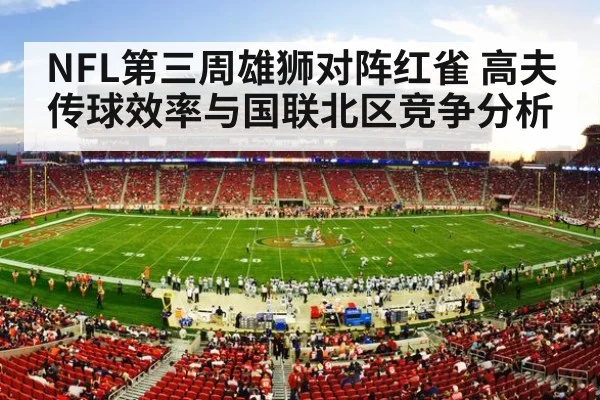 nfl football stadium game action